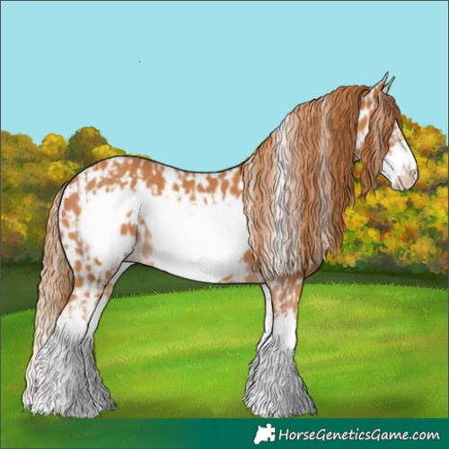 Horse Color:Chestnut Splash Frame  and Chestnut Splash Frame Leopard 
