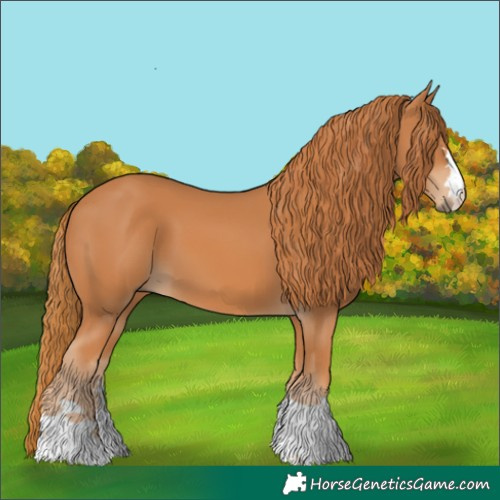 Horse Color:Chestnut 