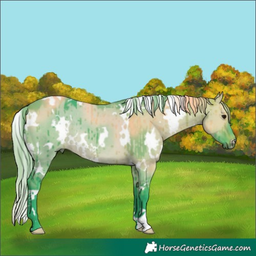 Horse Color:Watercolor White Spotted Brown Dun Brindle 