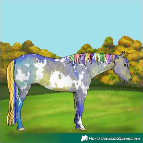 Horse Color:Painted Watercolor White Spotted Silver Brown Dun Brindle 