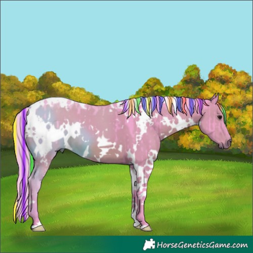 Horse Color:Painted Watercolor White Spotted Grullo Brindle 