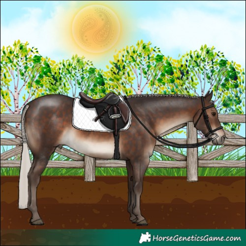 Horse Color:Silver Brown