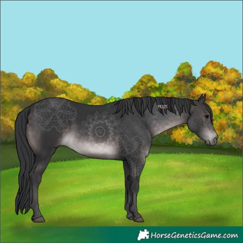 Horse Color:Platinum Brown Rabicano