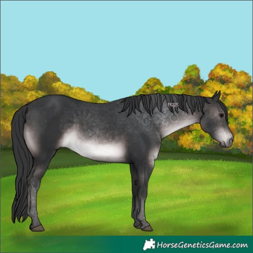 Horse Color:Platinum Brown