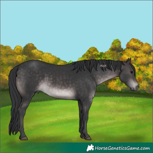 Horse Color:Platinum Brown 
