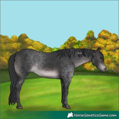 Horse Color:Platinum Brown Rabicano