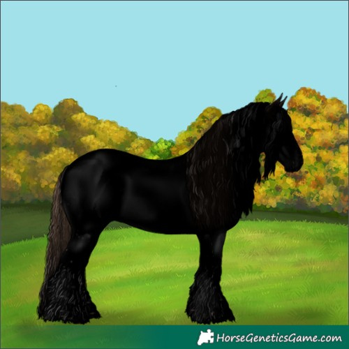 Horse Color:Void Liver Chestnut Ice Splash Tobiano 