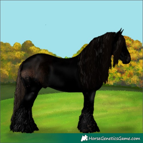 Horse Color:Void Liver Chestnut Sabino Splash 
