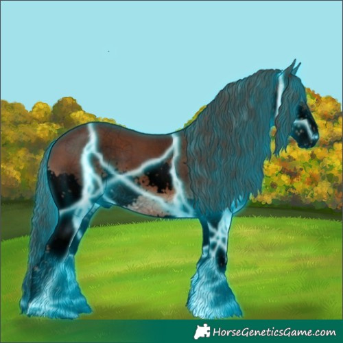 Horse Color:Void Thunderstruck Liver Chestnut Splash Tobiano 