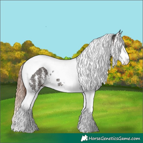 Horse Color:Liver Chestnut Sabino Splash Tobiano 