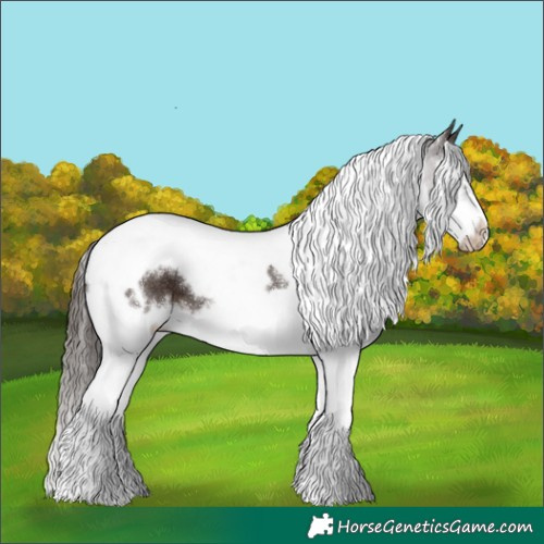 Horse Color:White Spotted Liver Chestnut Splash Tobiano Frame 