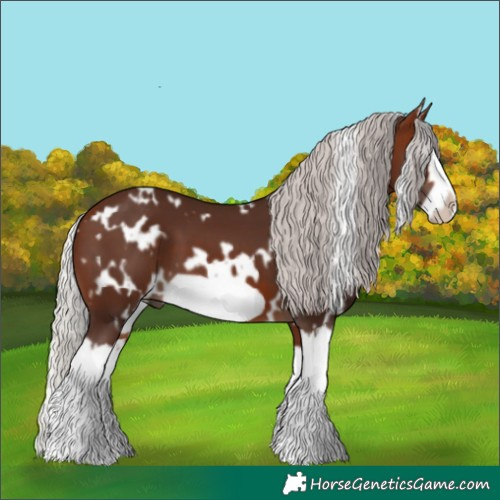 Horse Color:White Spotted Silver Brown Splash Frame 