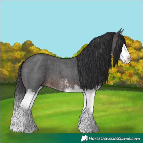 Horse Color:Brown Sabino Splash 