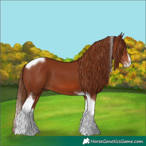 Horse Color:Chestnut Sabino Splash Tobiano 