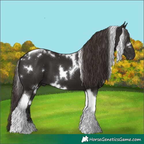 Horse Color:White Spotted Liver Chestnut Tobiano 