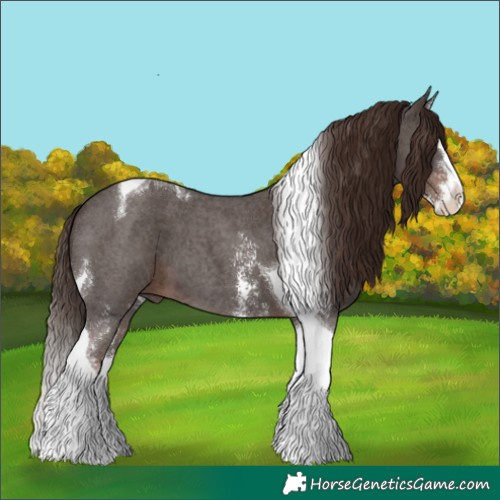 Horse Color:Liver Chestnut Sabino Splash Tobiano