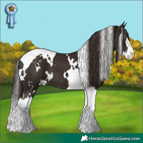 Horse Color:White Spotted Liver Chestnut Splash Tobiano