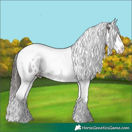 Horse Color:White Spotted Liver Chestnut Splash Tobiano 