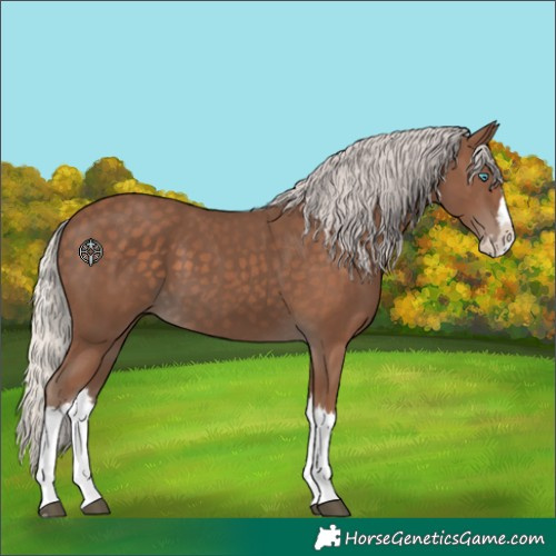 Horse Color:Silver Black Splash