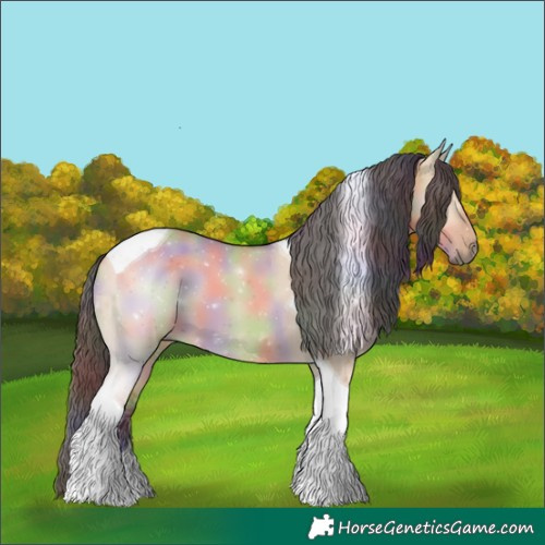 Horse Color:Nacre Bay Dun Tobiano