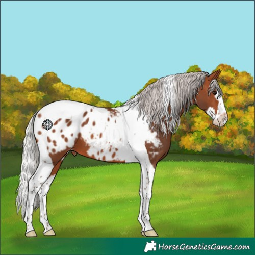 Horse Color:Silver Brown Splash Tobiano Blanket 