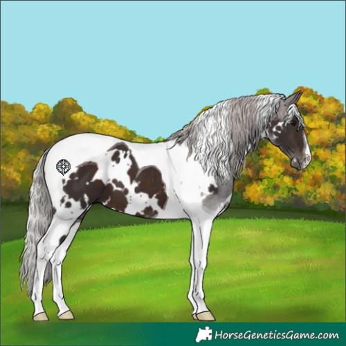 Horse Color:White Spotted Silver Brown Tobiano 