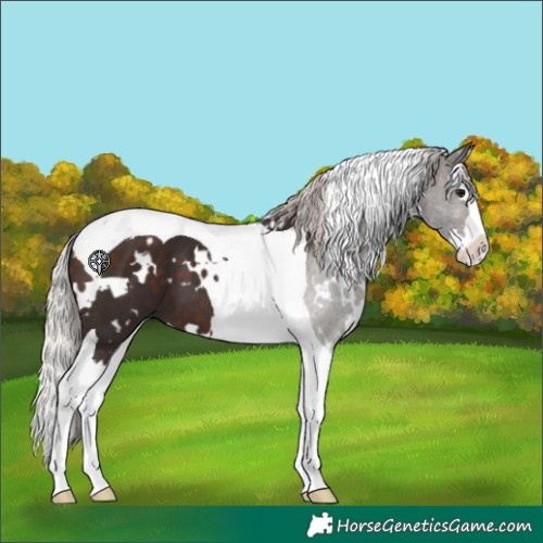 Horse Color:White Spotted Silver Brown Splash Tobiano 