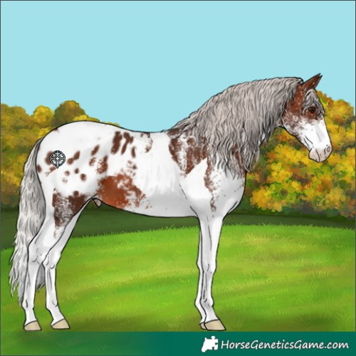 Horse Color:White Spotted Silver Brown Tobiano Blanket 