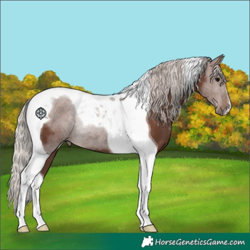 Horse Color:Silver Black Tobiano 