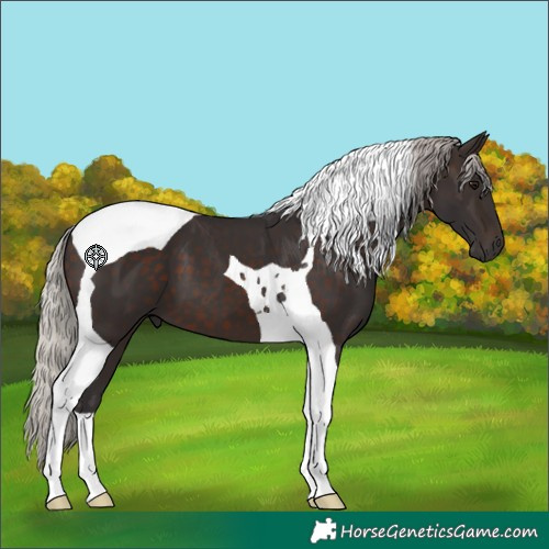 Horse Color:Silver Brown Tobiano