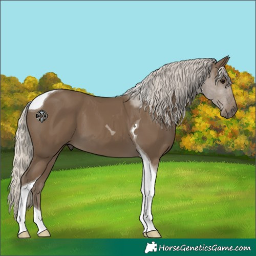 Horse Color:Silver Smoky Black Tobiano 