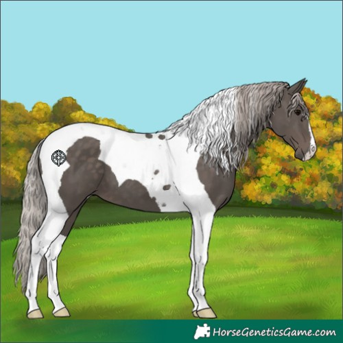 Horse Color:Silver Black Tobiano 