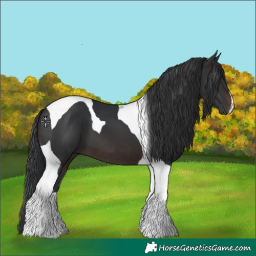 Horse Color:Brown Tobiano 