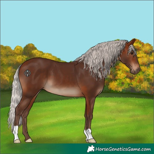 Horse Color:Silver Bay 