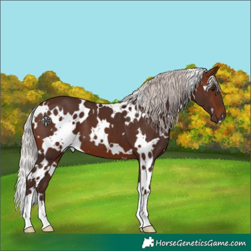 Horse Color:White Spotted Silver Brown 