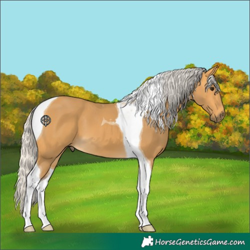 Horse Color:Silver Buckskin Tobiano