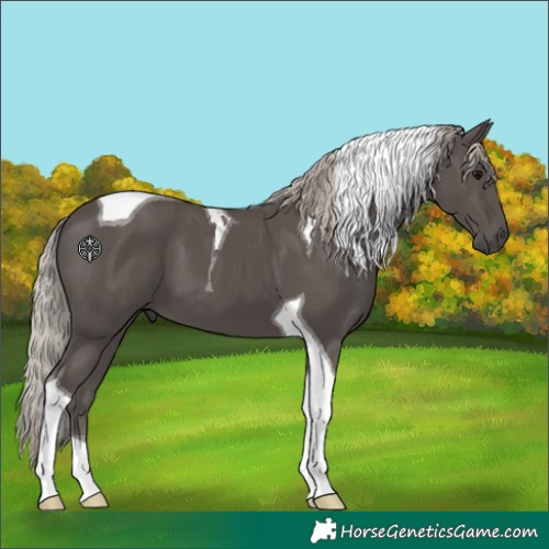 Horse Color:Silver Black Tobiano