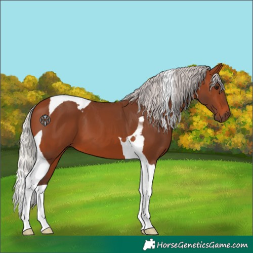 Horse Color:Silver Brown Tobiano 