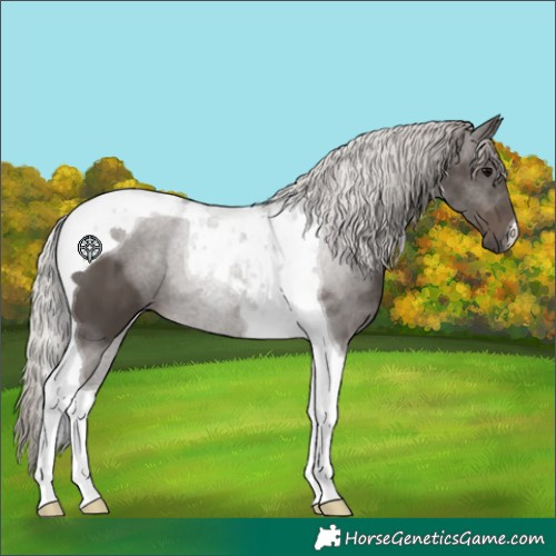 Horse Color:Silver Black Tobiano