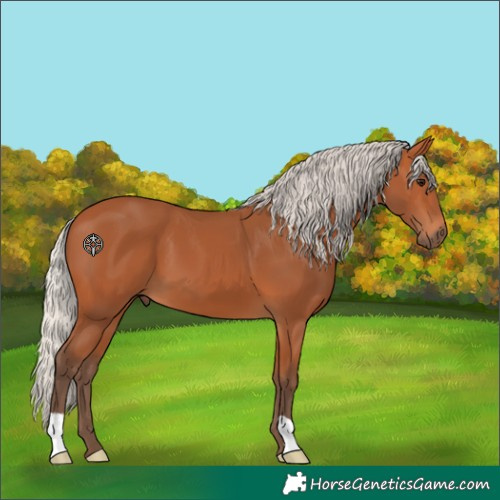 Horse Color:Silver Bay 