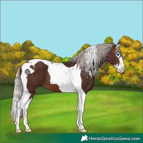 Horse Color:Silver Brown Splash Tobiano