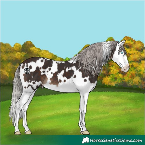 Horse Color:White Spotted Silver Brown Splash 