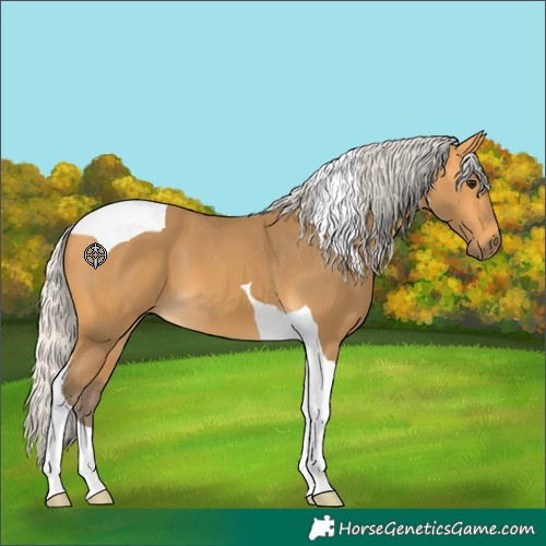 Horse Color:Silver Buckskin Tobiano