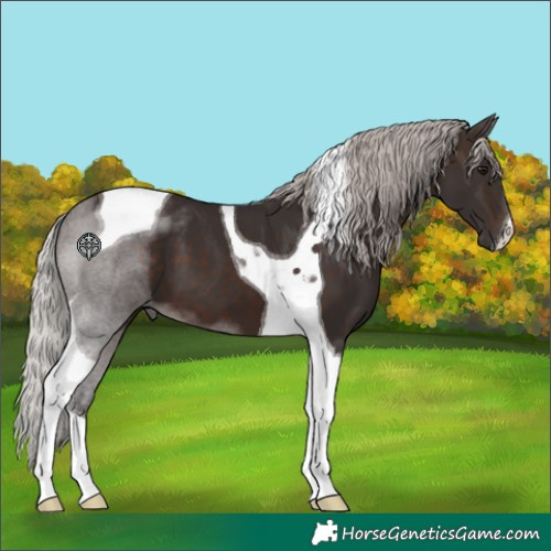 Horse Color:Silver Brown Tobiano