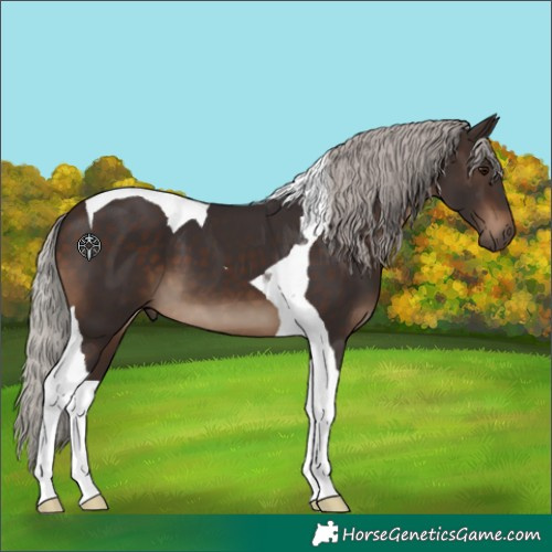 Horse Color:Silver Brown Tobiano