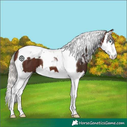 Horse Color:Silver Brown Splash Tobiano
