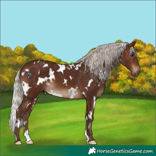 Horse Color:White Spotted Silver Brown 