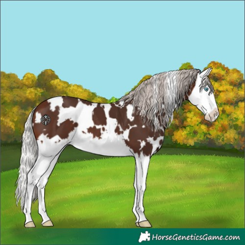 Horse Color:White Spotted Silver Brown Splash