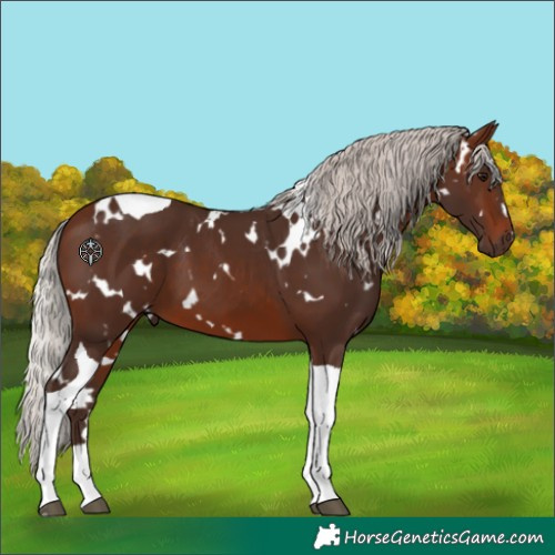 Horse Color:White Spotted Silver Brown Tobiano 