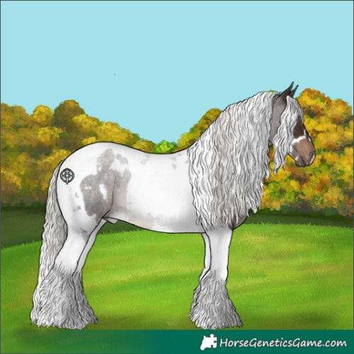 Horse Color:White Spotted Silver Brown Tobiano 